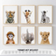 Baby Animal Posters and Prints - EPHANY ART YMX016 - Baby Nursery Decor Pictures Set of 6 (Unframed) Cute Animal Photography Wall Prints for Baby Boys & Girls Room YMX016 (8"x10"(20x25cm))