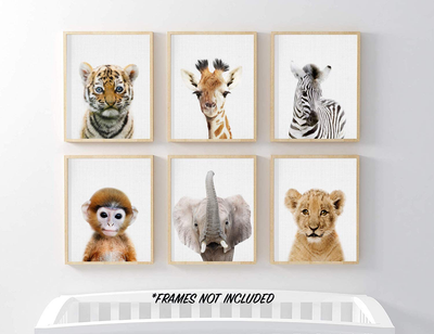 Baby Animal Posters and Prints - EPHANY ART YMX016 - Baby Nursery Decor Pictures Set of 6 (Unframed) Cute Animal Photography Wall Prints for Baby Boys & Girls Room YMX016 (8"x10"(20x25cm))
