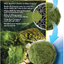 Exo Terra Moss Ball, Water Clarity and Odor Control for Aqua-Terrariums, PT2478 , White
