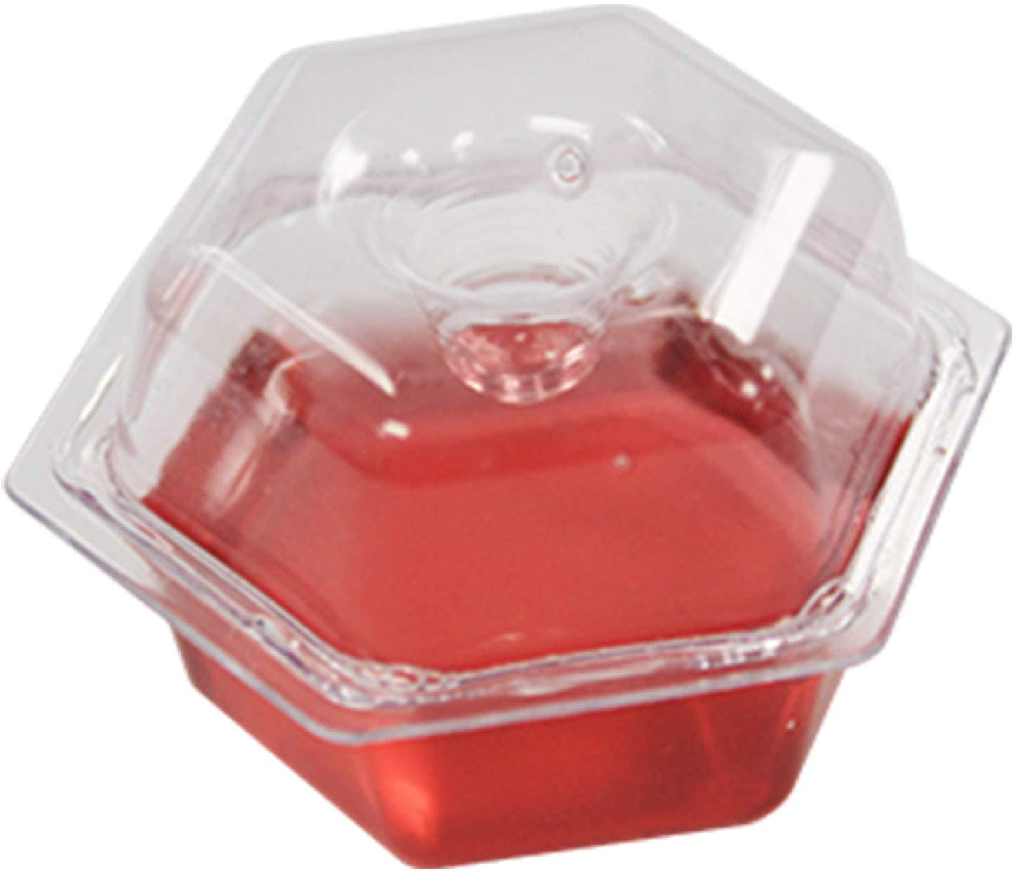 BEAPCO 10036 Prefilled Fruit Fly Traps, 6-Pack, Red