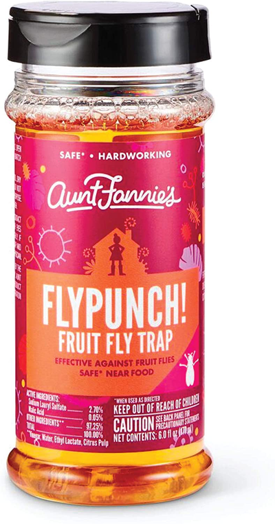 Aunt Fannie's FlyPunch - Fruit Fly Trap, Kill Fruit Flies, for Indoor Use (1-Pack)