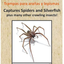 Greenway Spider & Silverfish Trap - 6 Prebaited Traps | Ready to Use Heavy Duty Glue, Safe, Non-Toxic with No Insecticides or Odor, Eco Friendly, Kid and Pet Safe