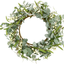 Palmhill Eucalyptus Wreaths for Front Door, 18 inch Artificial Door Wreath Eucalyptus Leaves Berry Garland Farmhouse Wreath Greenery for Spring Father's Day Festival Wall Indoor Outdoor Décor Wedding