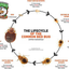 Bed Bug Patrol | Safe Travels - Bed Bug Blasting Travel Spray, 3oz