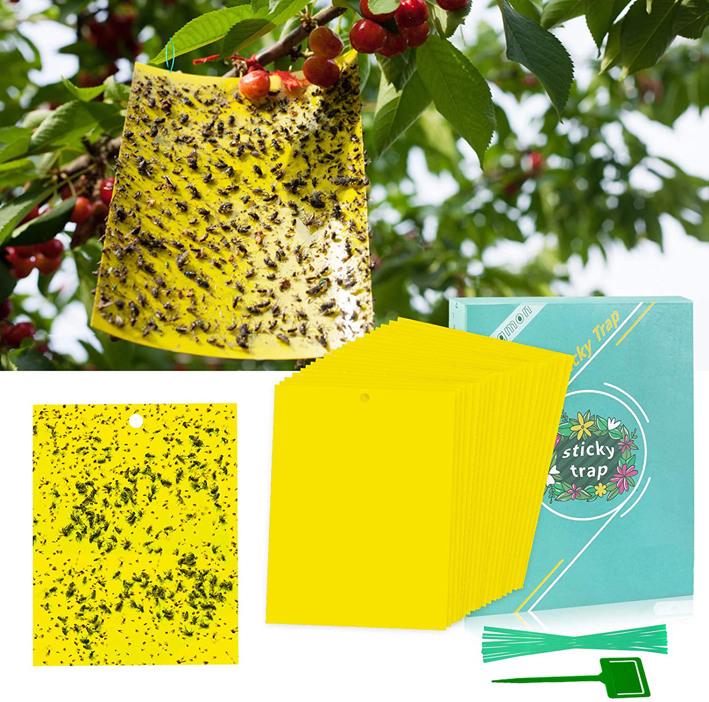 48 Pcs Gnat Trap, Fruit Fly Sticky Traps for Indoor/Outdoor to Use, Insect Catcher for Flying Plant Insect Such as Mosquitos, Fungus Gnats, Aphids, Leafminers