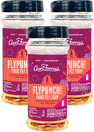 Aunt Fannie's FlyPunch - Fruit Fly Trap, Kill Fruit Flies, for Indoor Use (3-Pack)