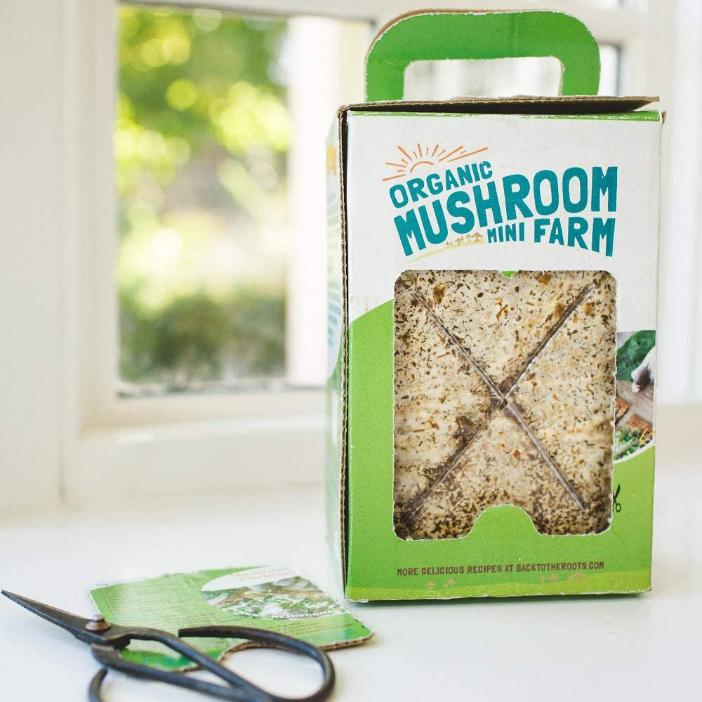 Back to the Roots Organic Mini Mushroom Grow Kit, Harvest Gourmet Oyster Mushrooms in 10 Days, Top Gardening Gift, Holiday Gift, & Unique Gift