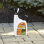 Ortho Home Defense Backyard Mosquito and Bug Killer Area Fogger 16 oz.