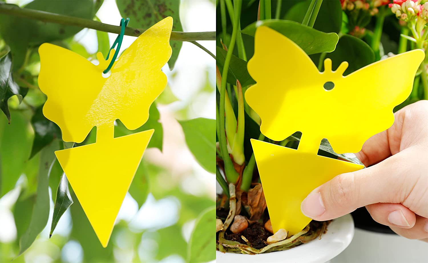 Garsum Yellow Sticky Fruit Fly Traps 120 Pcs Gnat Trap for Indoor/Outdoor Houseplant Sticky Bug Insect Catcher Glue Trappers
