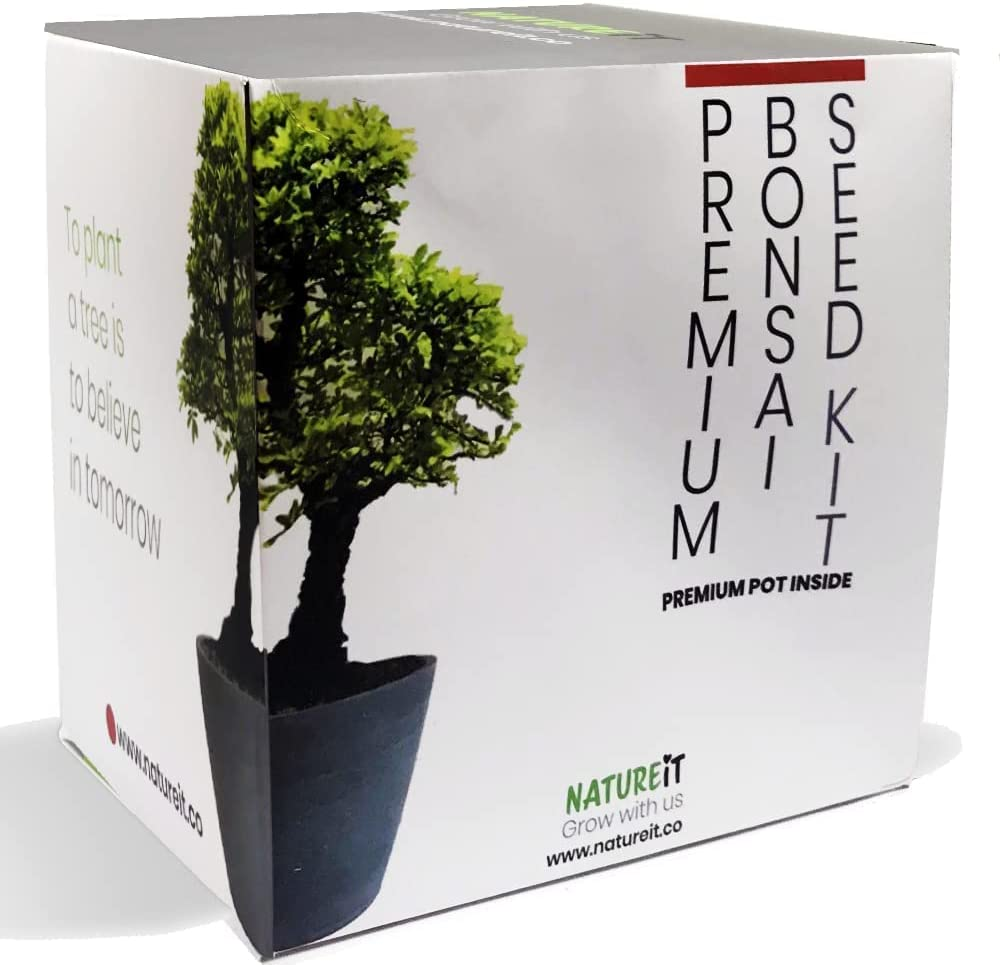 Bonsai Tree Seed Starter Kit. Bonsai Pot Included. Indoor & Outdoor DIY Beginners Easy Grow Craft & Hobby Gardening Set for Women & Men of All Ages. Unusual Housewarming Gift for Plant Lovers