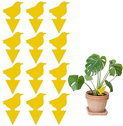 12 Pack Sticky Trap, Fruit Fly and Fungus Gnat Trap Killer Indoor and Outdoor, Protect The Plant, Non-Toxic and Odorless(Bird Shape)