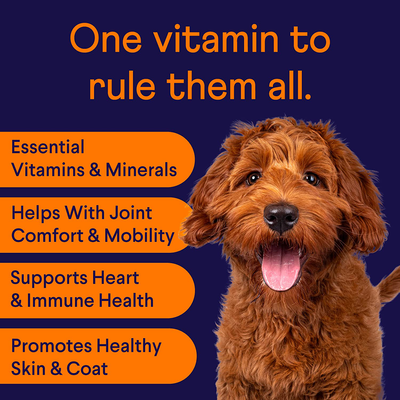 Finn All-in-1 Dog Multivitamin Omega-3s, Glucosamine + Chondroitin | Gut & Immune Health, Joint Support, Heart Health 90 Soft Chew Treats