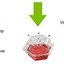 BEAPCO 10036 Prefilled Fruit Fly Traps, 6-Pack, Red