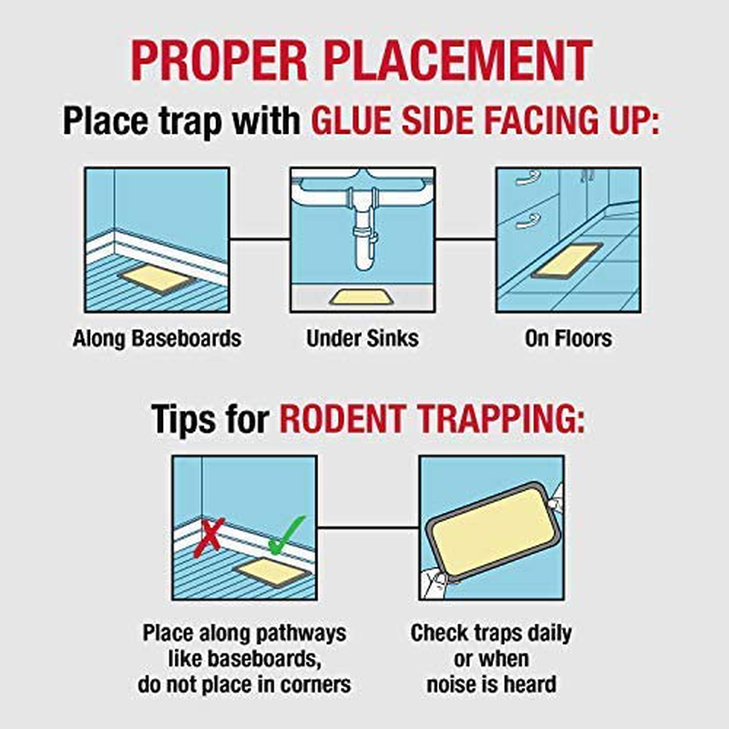 Catchmaster Mouse & Insect Professional Strength Glue Traps - Non Toxic - 4 Glue Trays