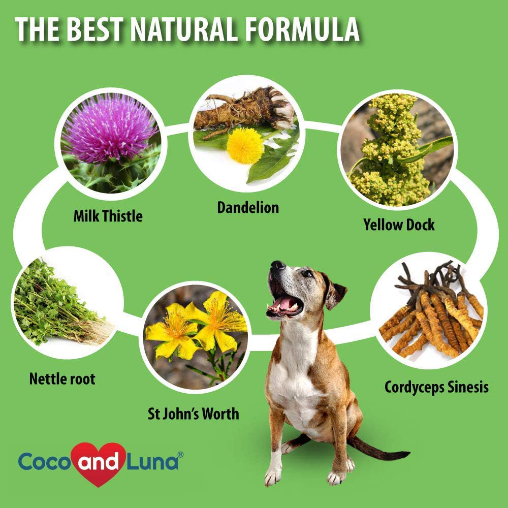 Coco and Luna Milk Thistle for Dogs, Liver Support for Dogs, Detox, Hepatic Support, Promotes Liver Healthy Function for Pets, VIT B1, B2, B6, B12