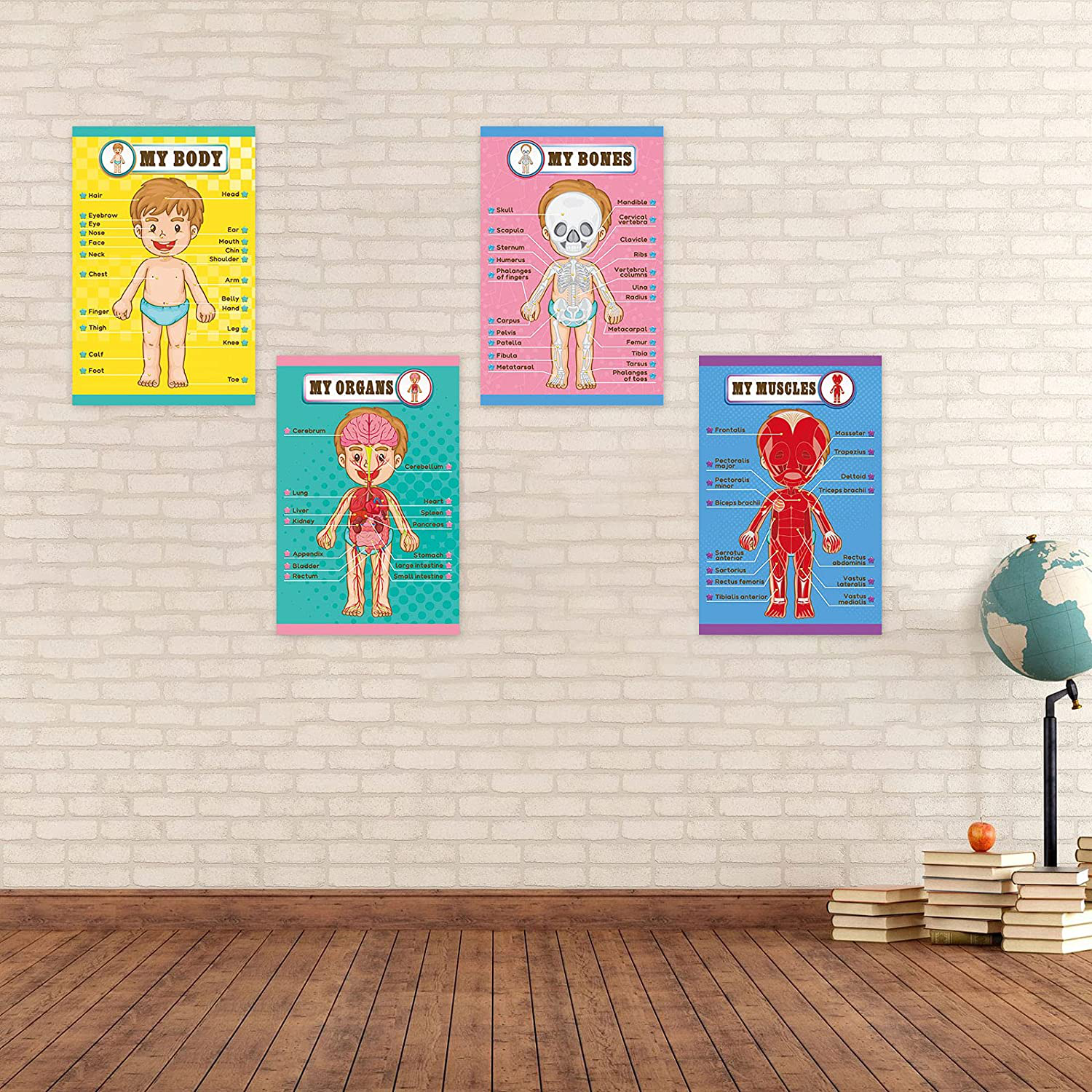 Human Body Educational Learning Posters Body Parts Learning Wall Chart for Kids Cartoon Anatomy Chart Educational Poster Preschool Kindergarten Teaching Supplies, Classroom Decoration, 17 x 11 Inch