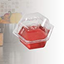 BEAPCO 10036 Prefilled Fruit Fly Traps, 6-Pack, Red