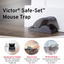 Victor M070-BULK Safe-Set Mouse Trap - 12 Traps , Gray