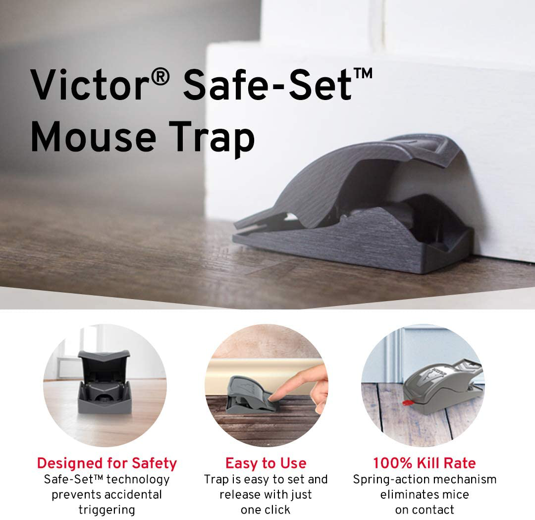 Victor M070-BULK Safe-Set Mouse Trap - 12 Traps , Gray