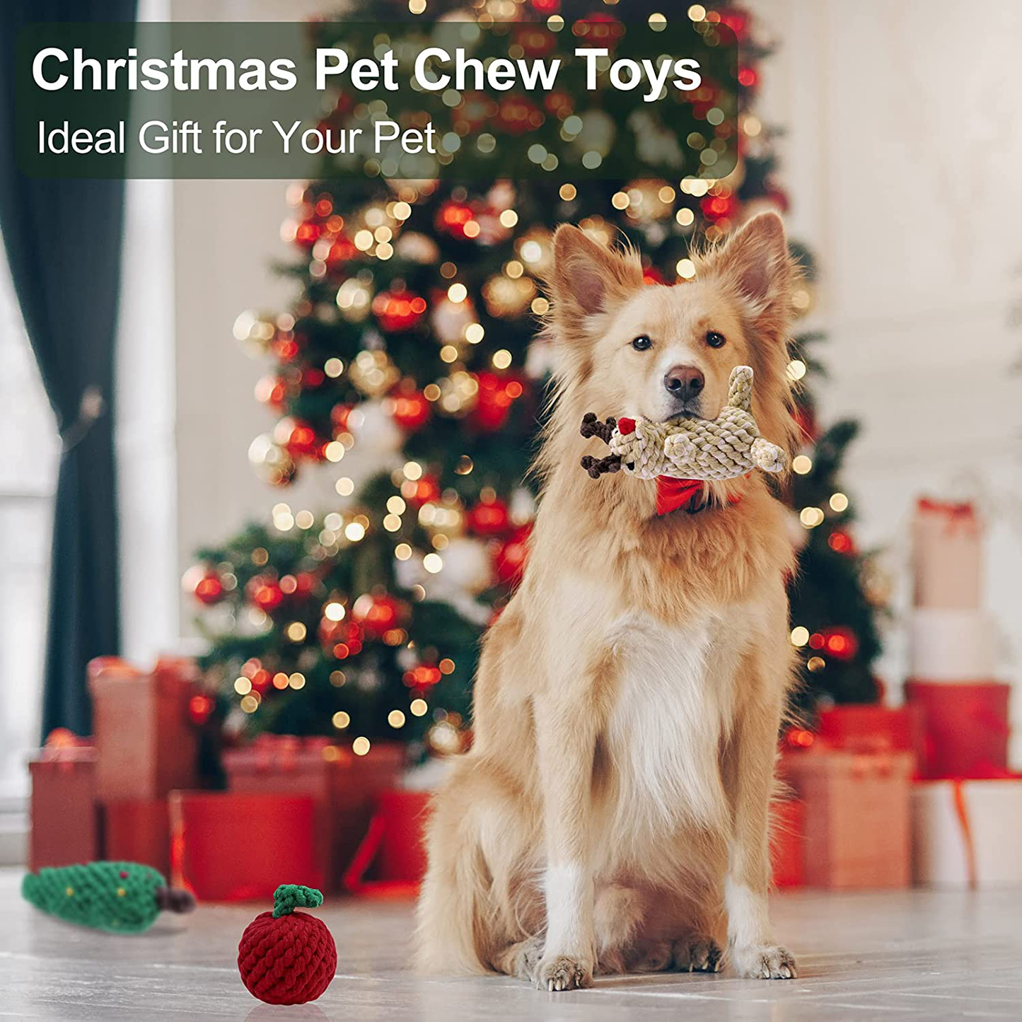 Pedgot 8 Pieces Dog Rope Toys Christmas Chew Training Toys Candy Cane Pet Dog Chew Toys for Christmas Dog Pet Chewing