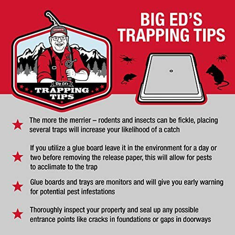 Catchmaster Baited Rat, Mouse and Snake Glue Traps - 10 Glue Trays - Professional Strength