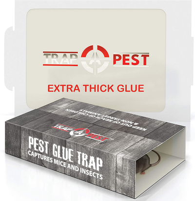 Sticky Glue Trap for Mice- Mouse Glue Traps That Work Indoors for Spiders, Insects, Scorpions, Roaches- Double Layer Glue Boards Upgraded Version- (12 Pack)