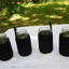 Masun Mason jar Sleeve Wide, and regular mouth quart jars (Black 4 pack)