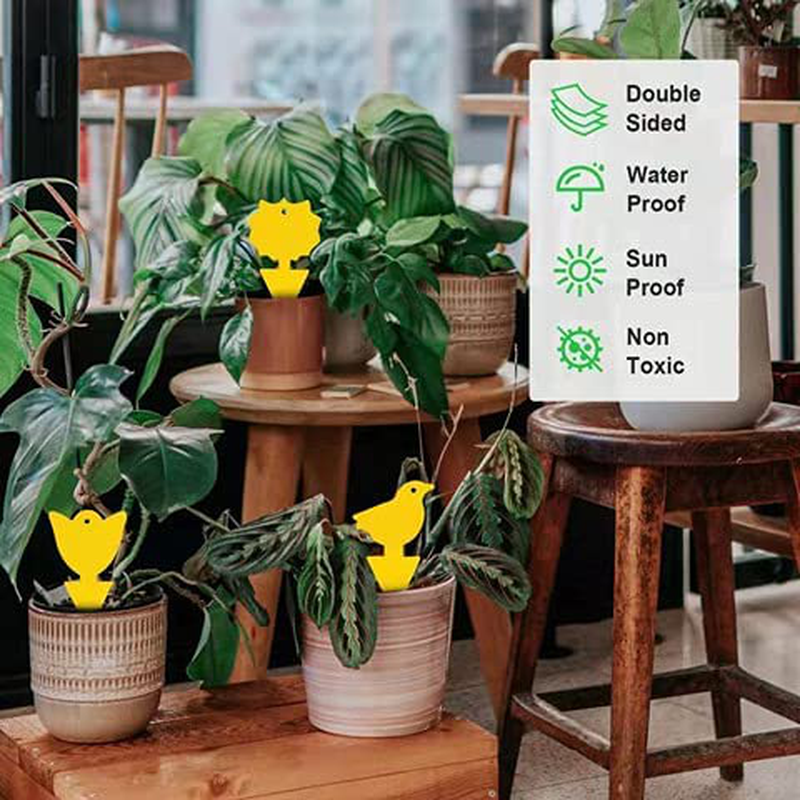 72 Pcs Sticky Traps for Fruit Fly Fungus Gnat, Mosquito & Bug 2 Ways Use-Hangable & Insertable, Best Effective Capture, Yellow Extremely Sticky Insect Trap Indoor/Outdoor/Kitchen Non-Toxic, 4 Shapes