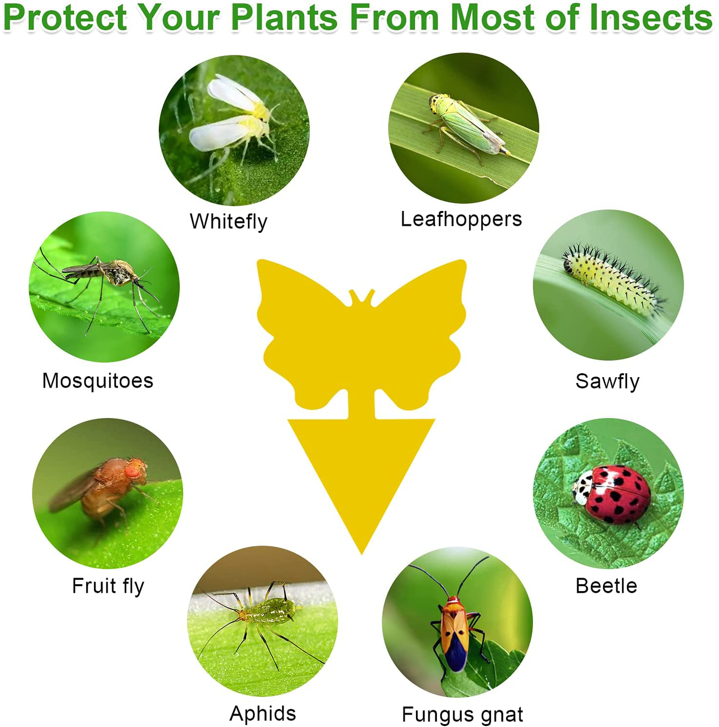 60 Pack Yellow Sticky Traps and Fungus Gnat Traps Killer for Indoor Outdoor, Fruit Fly Traps Protect The Plants