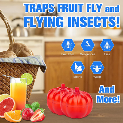 Burxoe Fruit Fly Trap,Reusable Fruit Fly Traps for Kitchen, Fruit Fly Traps Indoor Sticky, Fly Trap Refill,Fly Catcher for Food Areas Safe Non-Toxic Odorless 2 Packs Pumpkin Shape