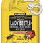 HARRIS Asian Lady Beetle, Japanese Beetle, and Box Elder Killer, Liquid Spray with Odorless and Non-Staining Extended Residual Kill Formula (Gallon)