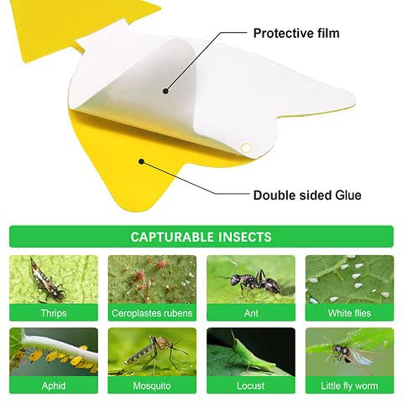 36 Pcs Sticky Traps for Fruit Fly Fungus Gnat, Mosquito & Bug 2 Ways Use-Hangable & Insertable, Best Effective Capture, Yellow Extremely Sticky Insect Trap Indoor/Outdoor/Kitchen Non-Toxic, 4 Shapes