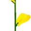 Safer Brand SF5026 Houseplant Sticky Stakes Insect Traps, 1 Pack, One Color