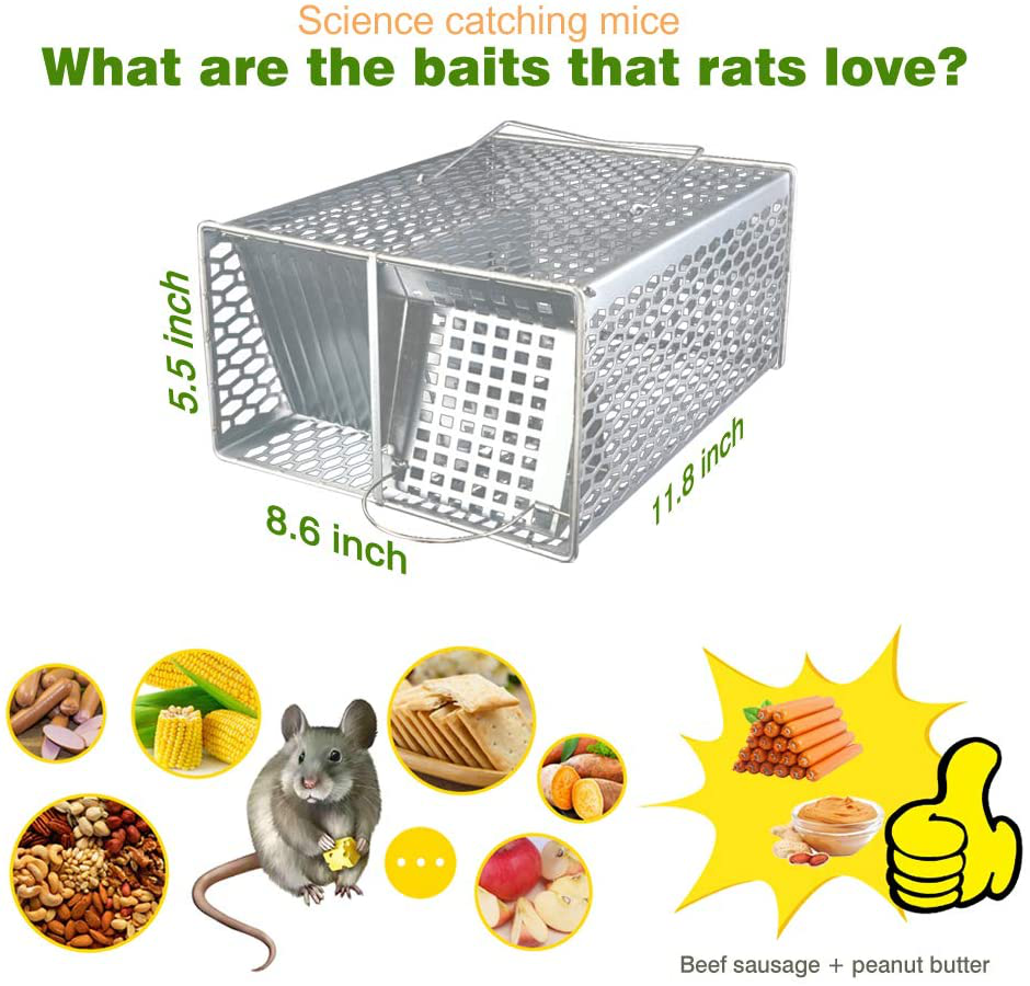 ROCKBIRDS Rat Traps - Humane Continuous Catch Live Animal Trap for Rat, Large Mouse, Chipmunk, Squirrel and Weasel, Reusable for Indoor and Outdoor Use, Safe for Kids and Pets (Grey)