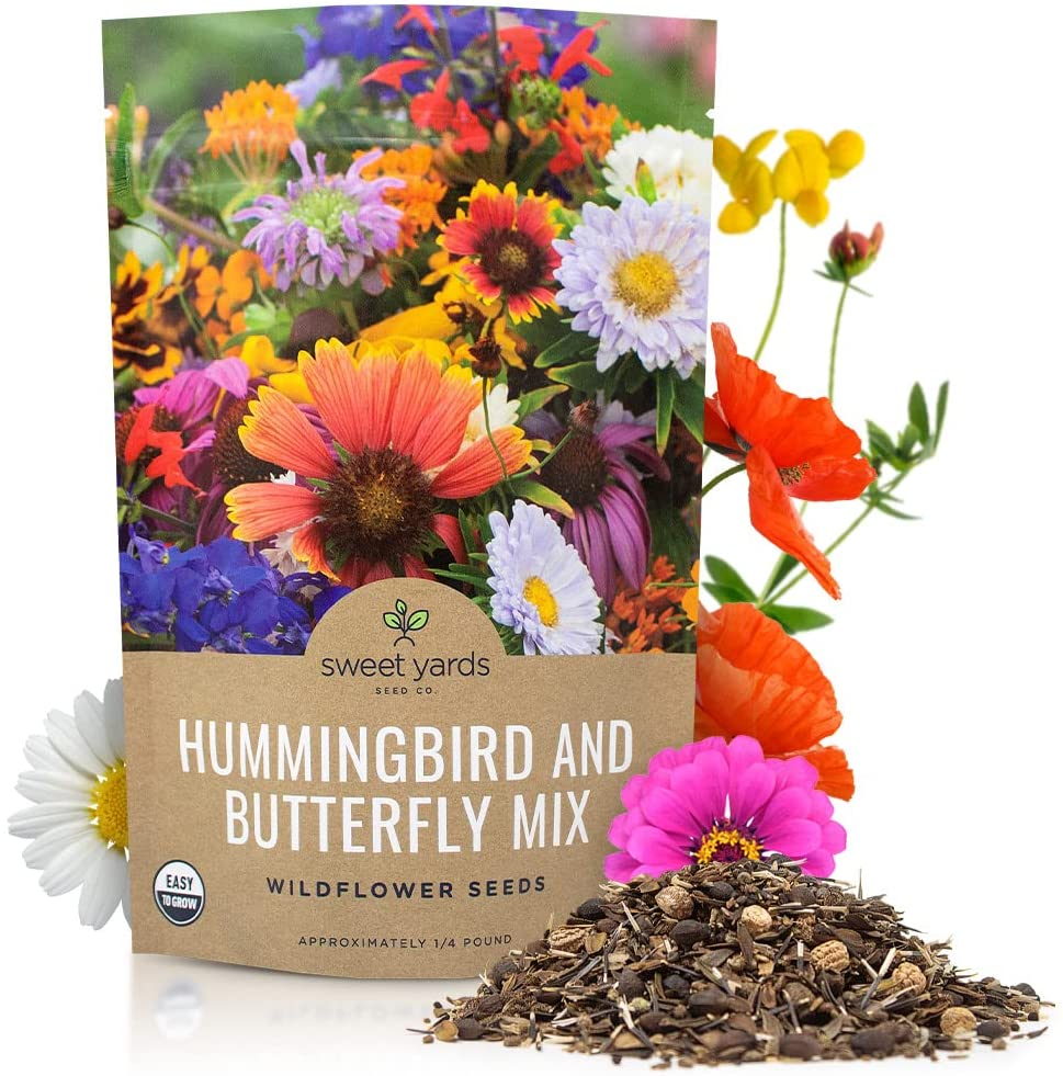 Wildflower Seeds Butterfly and Humming Bird Mix - Large 1 Ounce Packet 7,500+ Seeds - 23 Open Pollinated Annual and Perennial Species