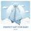 Pro Goleem Teddy Bear Lovey Baby Security Blanket Loveys for Babies Boy Unisex Soft 
