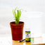 General Hydroponics pH Up Liquid Premium Buffering For Stability, 1 Quart
