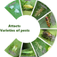 Garsum Yellow Sticky Fruit Fly Traps 120 Pcs Gnat Trap for Indoor/Outdoor Houseplant Sticky Bug Insect Catcher Glue Trappers