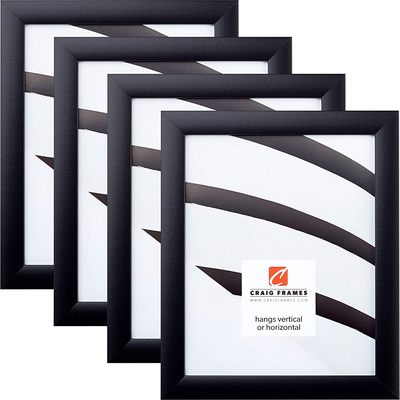 Craig Frames 23247018 12 x 36 Inch Picture Frame, Brushed Silver, Set of 4