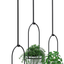 Umbra Triflora Hanging Planter for Window, Indoor Herb Garden, White/Black, Triple