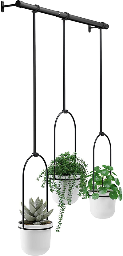 Umbra Triflora Hanging Planter for Window, Indoor Herb Garden, White/Black, Triple