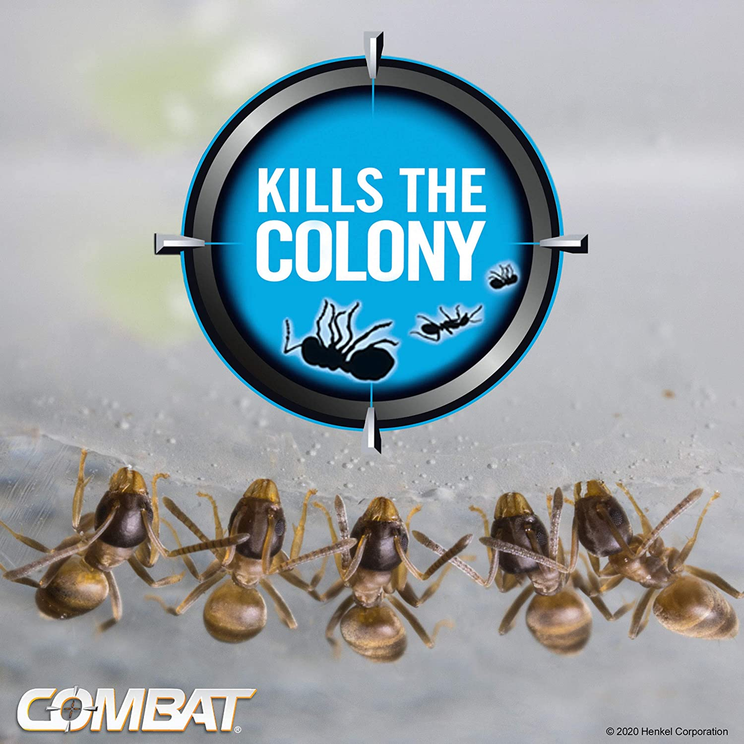 Combat 10023400973061 Indoor and Outdoor Ant Killing Gel, 27 Gram.