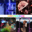 Color Changing Fairy String Lights 33 Feet 100 Led Twinkle Lights USB Operated Silver Wire Starry Lights with Remote and Adapter Firefly Lights for Bedroom Party Wedding Camping Indoor Outdoor Decor