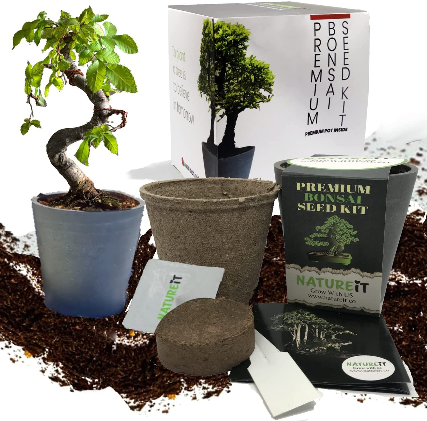 Bonsai Tree Seed Starter Kit. Bonsai Pot Included. Indoor & Outdoor DIY Beginners Easy Grow Craft & Hobby Gardening Set for Women & Men of All Ages. Unusual Housewarming Gift for Plant Lovers