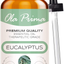 Ola Prima 16Oz - Premium Quality Peppermint Essential Oil (16 Ounce Bottle) Therapeutic Grade Peppermint Oil