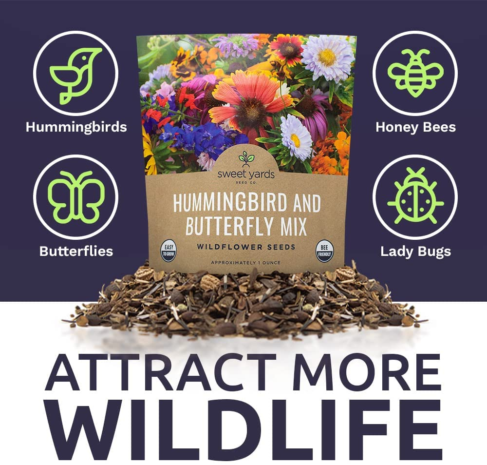 Wildflower Seeds Butterfly and Humming Bird Mix - Large 1 Ounce Packet 7,500+ Seeds - 23 Open Pollinated Annual and Perennial Species