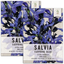 Seed Needs, Sapphire Blue Sage Seeds for Planting (Salvia Farinacea) Twin Pack of 800 Seeds Each