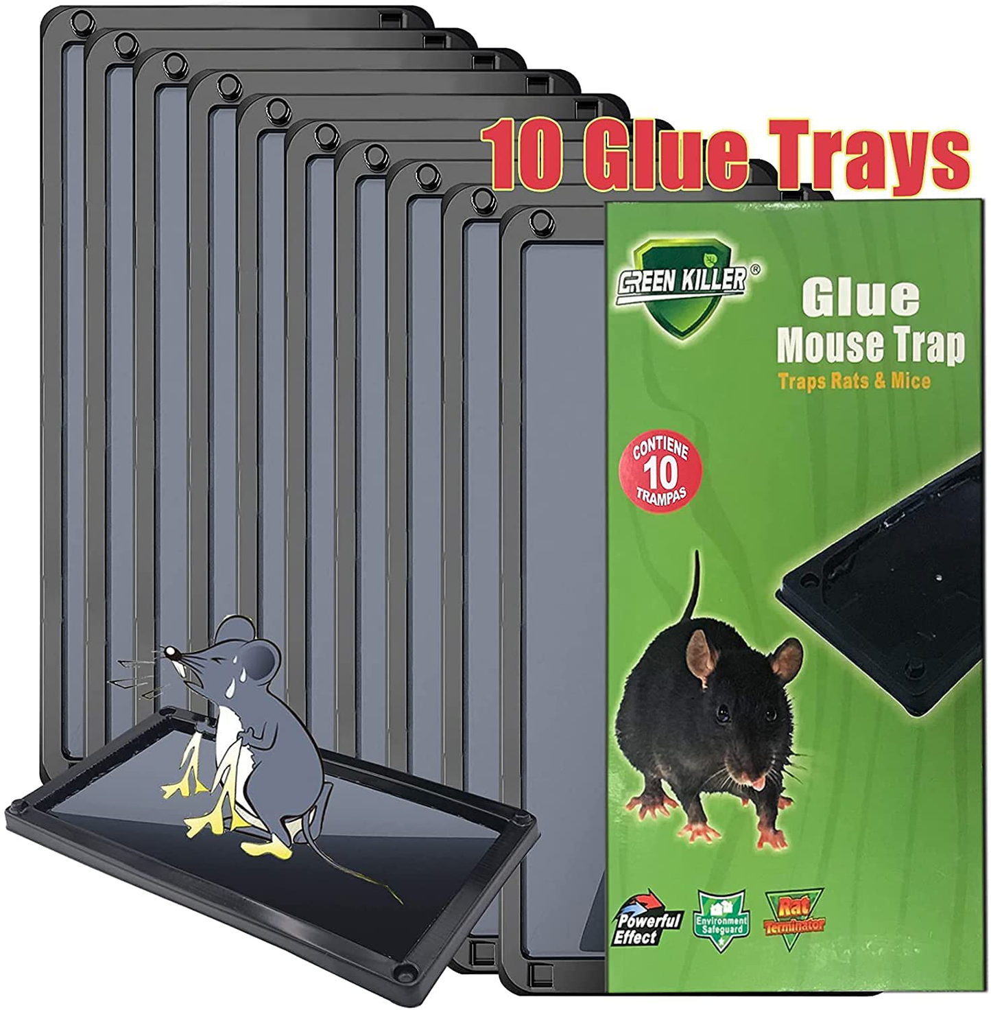 Heavy Duty Mouse Traps, Baited Rat Traps,Mouse / Spider / Insect / Scorpion Professional Strength Glue Traps (Large Size) - Non Toxic - 10 Glue Trays