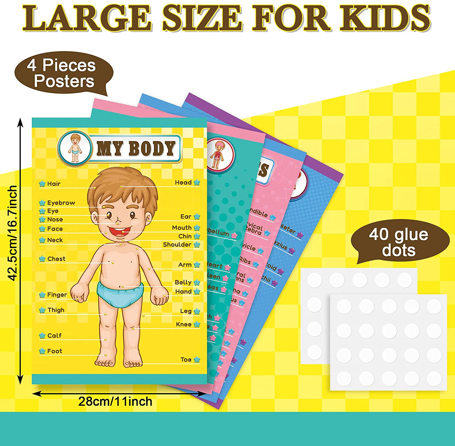 Human Body Educational Learning Posters Body Parts Learning Wall Chart for Kids Cartoon Anatomy Chart Educational Poster Preschool Kindergarten Teaching Supplies, Classroom Decoration, 17 x 11 Inch