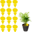 12 Pack Sticky Trap, Fruit Fly and Fungus Gnat Trap Killer Indoor and Outdoor, Protect The Plant, Non-Toxic and Odorless(cat Shape)